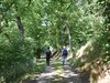 Zwei Wanderer im Wald
