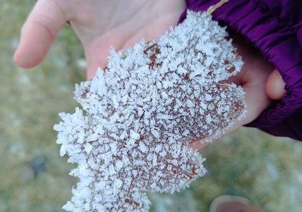 Eine Kinderhand mit einem Blatt voller Eiskristalle