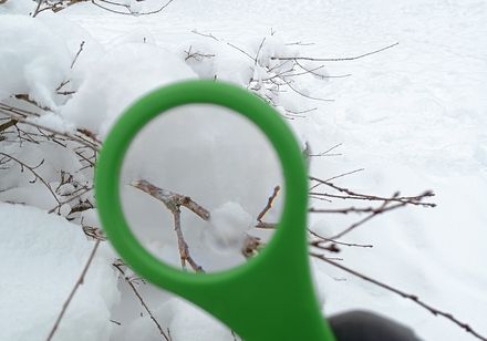 Schneeflocken durch Lupe betrachten