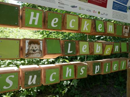 Suchspiel zum Thema Leben. weiße Buchstaben auf grünem Hintergrund auf drehbaren Holzklötzen am Waldrand. 