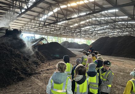 Grundschulkinder im Rinderstall
