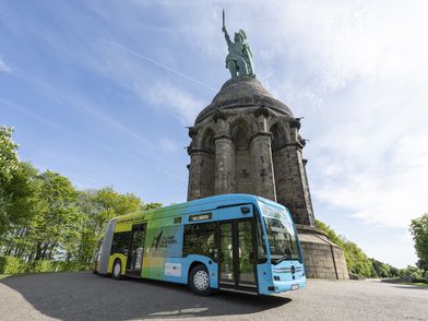 Ein bunter Linienbus steht vorm Hermannsdenkmal.