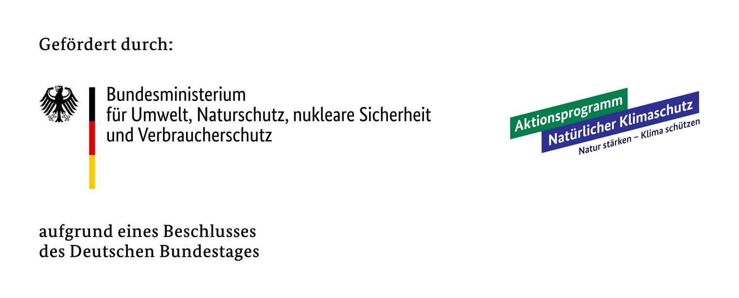 Banner: Gefördert durch Bundesministerium für Umwelt, Naturschutz, nukleare Sicherheit und Verbraucherschutz. Aktionsprogramm Natürlicher Klimaschutz. Natur stärken - Klima schützen