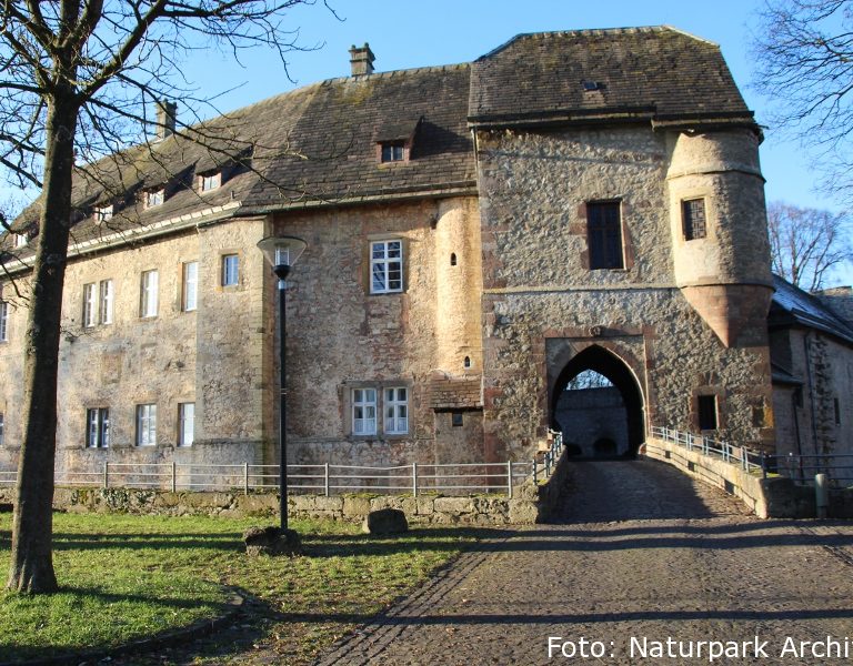 Burg Dringenberg