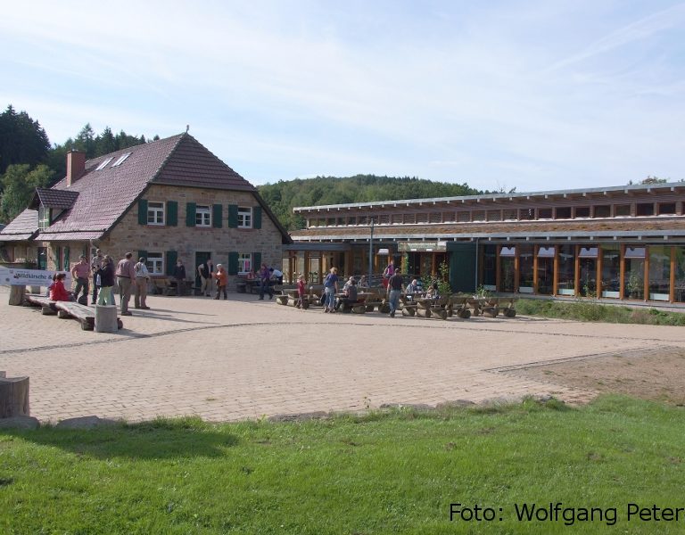 Waldinformationszentrum Hammerhof