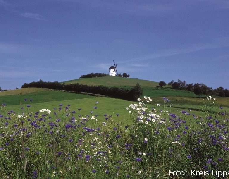 Windmühle Bavenhausen