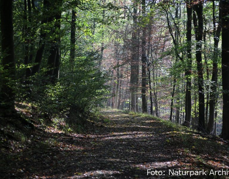 Naturschutzgebiet Egge-Nord