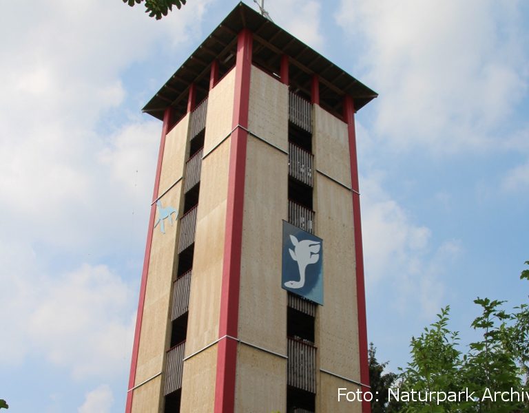 Lattbergturm Entrup