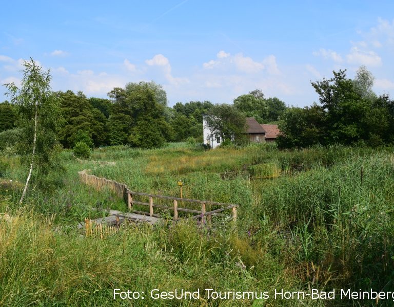 Stinkebrink Bad Meinberg