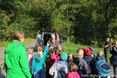 UHU Freilassung mit der Naturpark-Schule Altenbeken