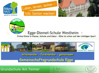 Logos der NP_Schulen