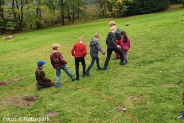 Sieben Kinder spielen nebeneinander auf einer grünen Wiese