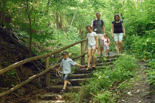 Wandernde Familie geht Treppen im Wald runter